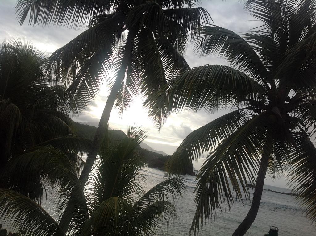 Rainbow Beach Apartments & Rooms Calibishie Buitenkant foto
