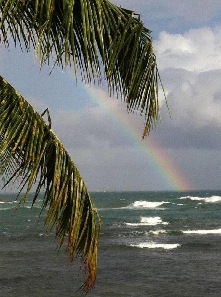 Rainbow Beach Apartments & Rooms Calibishie Buitenkant foto